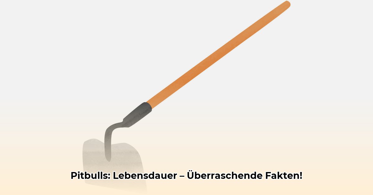 hoe-oud-is-pitbull